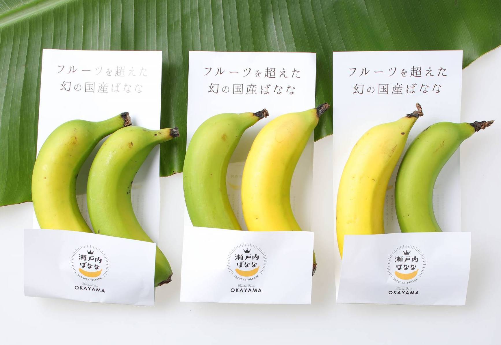 外国産との違いは 国産バナナのおいしさの秘密に迫る 食べチョク More