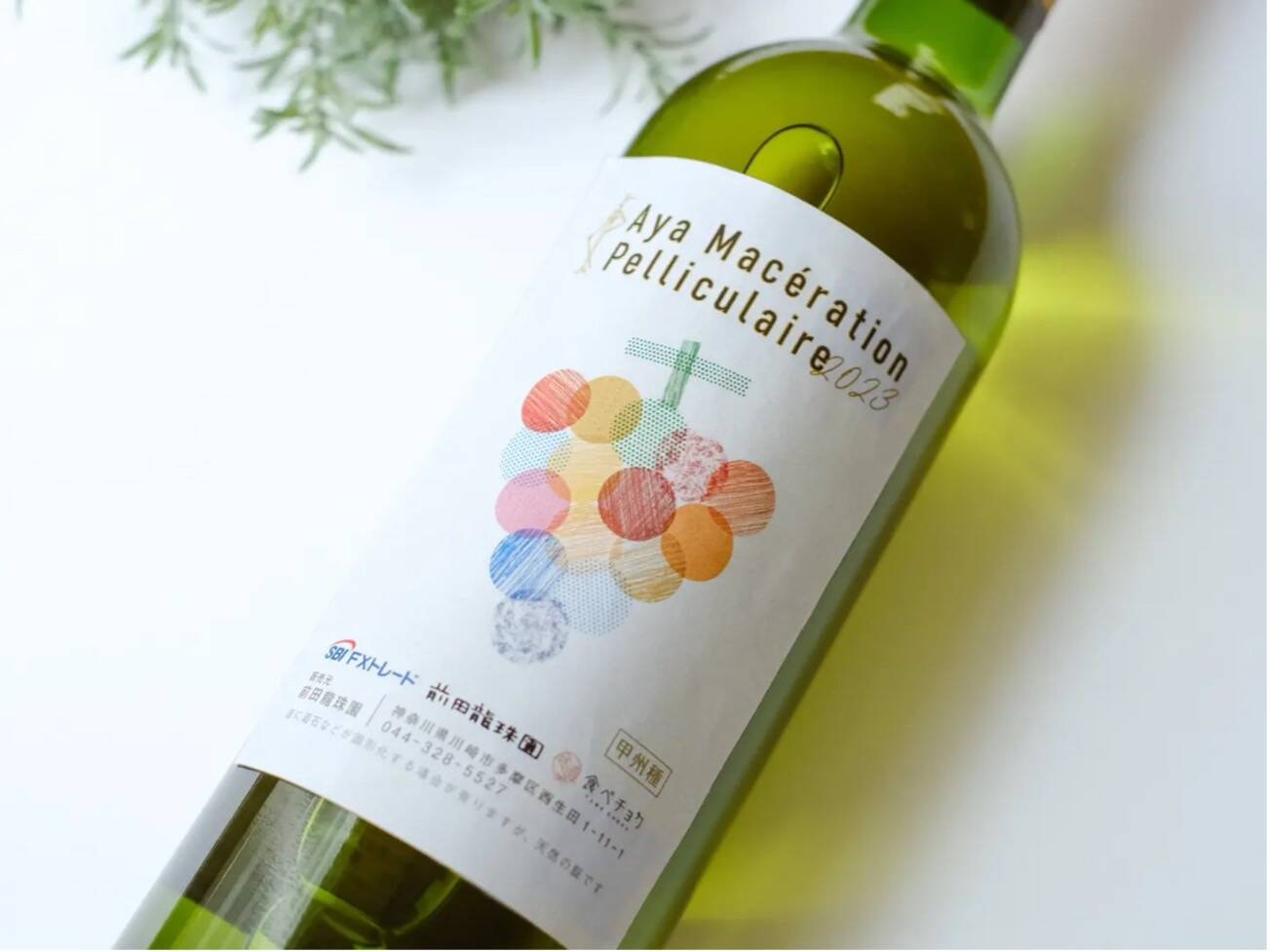 食べチョク一次産業SDGsプロジェクト」賛同企業第1号のSBI FXトレードでつみたて外貨を体験！ | 食べチョク&more